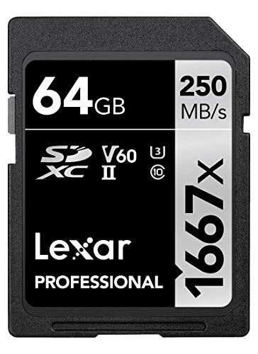 Lexar Professional 1667x LSD64GCB1667