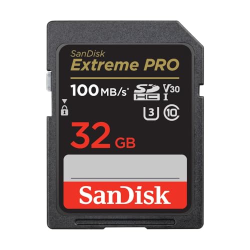 Sandisk V30