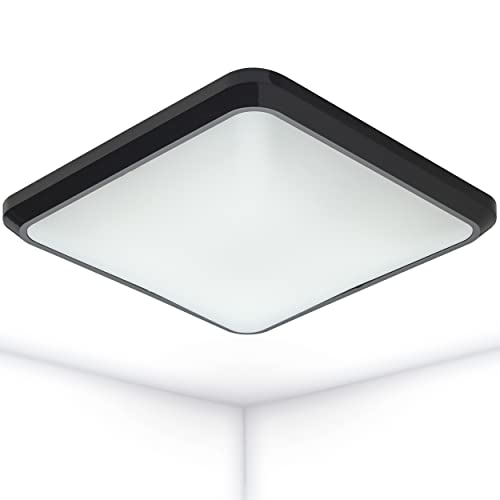 Oktaplex lighting LED PINO